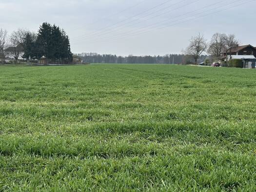 Grundstück zum Kauf 598.000 € 2.639 m² Grundstück Weiding Polling 84570