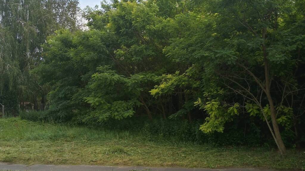 Grundstück zum Kauf 13.500 € 3.918 m² Grundstück Kaposfö 7523