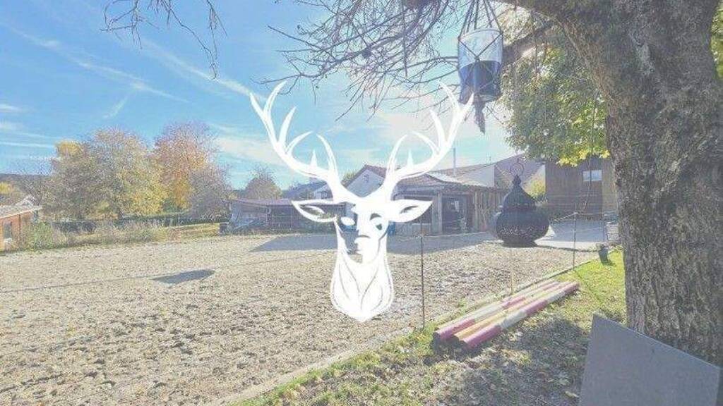 Wohnung zum Kauf 749.000 € 9 Zimmer 298 m² Zimmernstraße 22 Leibertingen 88637