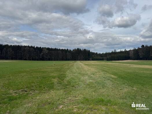 Land-/Forstwirtschaft zum Kauf 3.230 m² Grundstück St. Willibald 4762