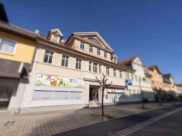 Mehrfamilienhaus zum Kauf 175.000 € 25 Zimmer 520 m² 528 m² Grundstück Neustadt Neustadt bei Coburg 96465