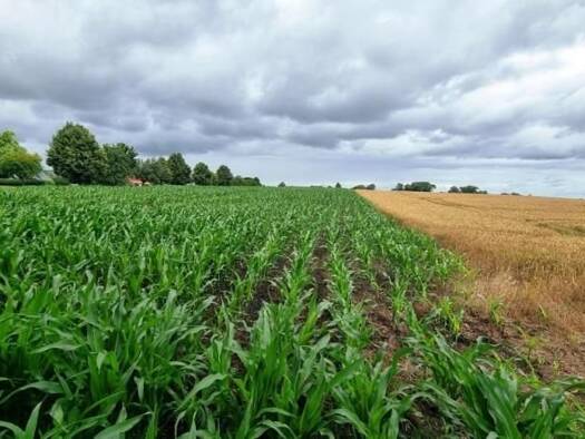 Grundstück zum Kauf 749.000 € 19.424 m² Grundstück Dewichow Mellenthin OT Dewichow 17429