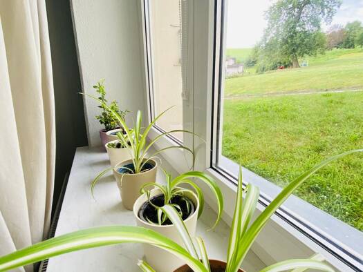 Wohnung zur Miete 310 € 2 Zimmer 60 m² Geschoss EG/1 frei ab 01.07.2026 Kalkberg Bärenstein Altenberg 01773