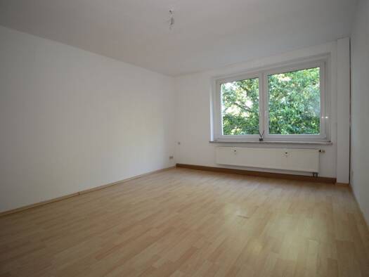 Wohnung zur Miete 273 € 2 Zimmer 48,8 m² 1. Geschoss Ferdinand-Sommer-Straße 11 Pöhl 08543