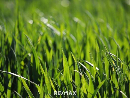 Landwirtschaftliche Fläche zum Kauf 68.415 m² Grundstück Oberwart 7400