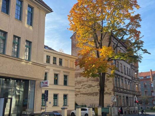 Wohnung zur Miete 290 € 1,5 Zimmer 35 m² EG frei ab 01.02.2026 Hospitalstr. 21 Innenstadt Görlitz 02826