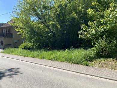 Grundstück zum Kauf 49.000 € 875 m² Grundstück Offenbach - Hundheim 67749