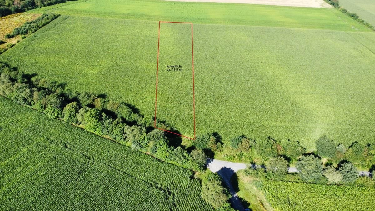 Landwirtschaftliche Fläche zum Kauf 5 € 7.513 m²<br/>Grundstück Börgerwald Surwold 26903