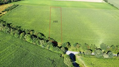 Landwirtschaftliche Fläche zum Kauf 5 € 7.513 m² Grundstück Börgerwald Surwold 26903