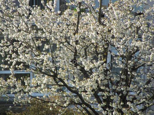 Wohnung zum Kauf 320.000 € 4 Zimmer 90 m² Waldegg Linz 4020