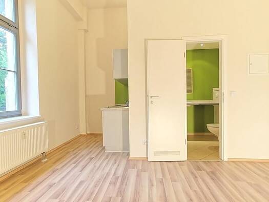 Wohnung zur Miete 370 € 1 Zimmer 20,8 m² frei ab 15.11.2026 Leipziger Straße 2 a Leipziger Vorstadt Ortsamtsbereich Neustadt 01097