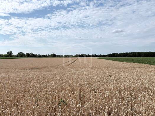 Land-/Forstwirtschaft zum Kauf 92.000 € 7.780 m² Grundstück Stadtmitte Nord 41061
