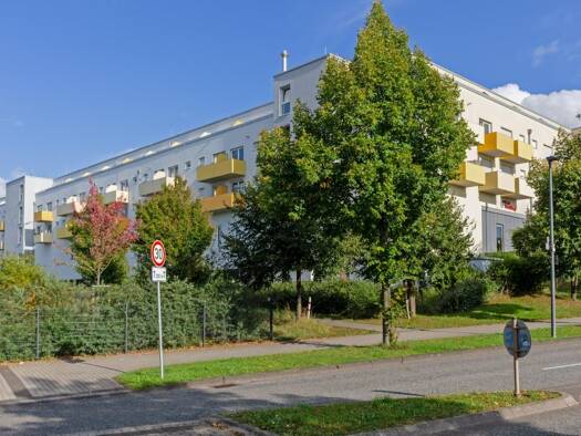 Studio zur Miete 490 € 1 Zimmer 31 m² Olewig Trier 54296