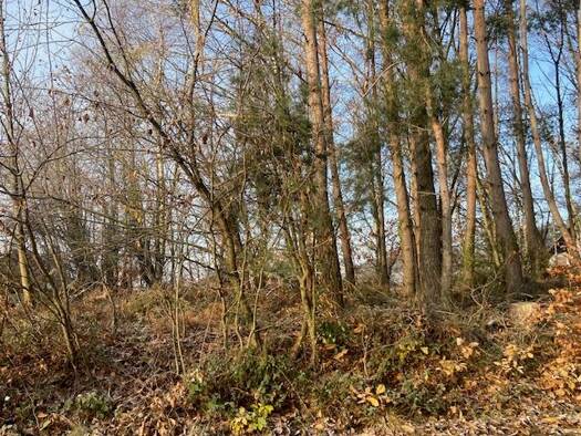 Grundstück zum Kauf provisionsfrei 335.000 € 885 m² Grundstück Melkerei Landstuhl 66849
