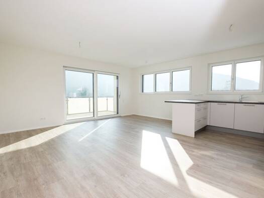 Wohnung zur Miete 1.090 € 3,5 Zimmer 88 m² Geschoss 2/4 frei ab 01.04.2026 Kraftwerkstr. 24 Albbruck 79774