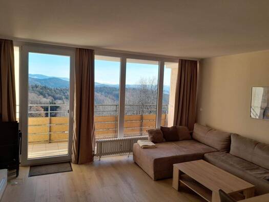 Wohnung zum Kauf 90.000 € 1,5 Zimmer 48 m² frei ab 01.01.2026 Geyersberg 27 Geyersberg Freyung 94078