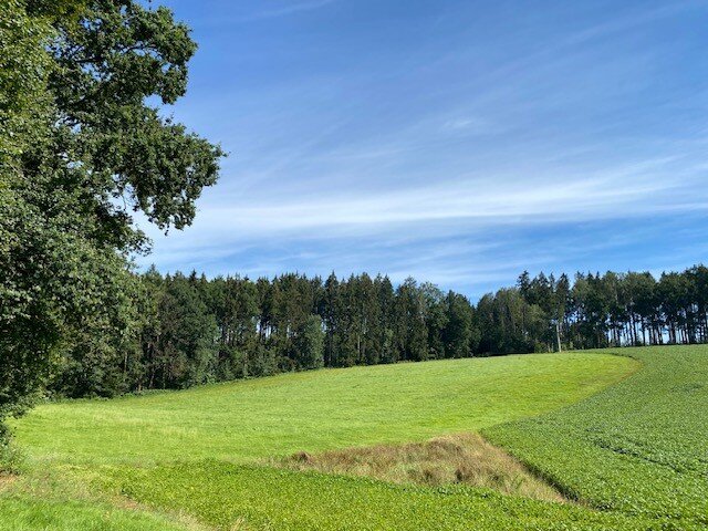 Landwirtschaftliche Fläche zum Kauf 13.900 m²<br/>Grundstück Schellenberg Vilsheim 84186