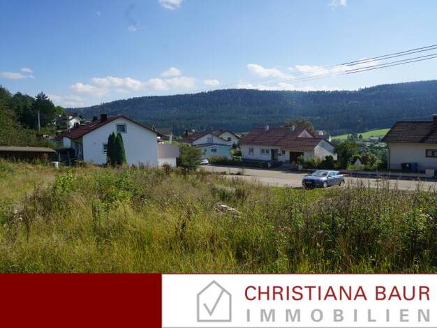 Grundstück zum Kauf 119.000 € 949 m² Grundstück Wehingen 78564