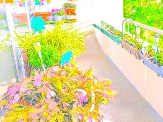 Wohnung zum Kauf 159.700 € 3 Zimmer 85 m² Geschoss 4/6 frei ab sofort Türnich Kerpen 50169