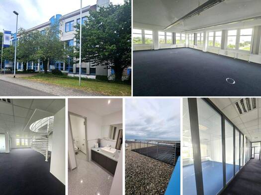 Bürofläche zur Miete 5.088 € 10 Zimmer 598,4 m² Bürofläche Wiedemar 04509