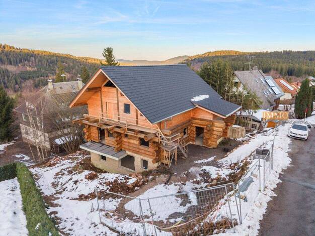 Mehrfamilienhaus zum Kauf 950.000 € 9 Zimmer 360 m² 670 m² Grundstück Bärental Feldberg (Schwarzwald) 79868