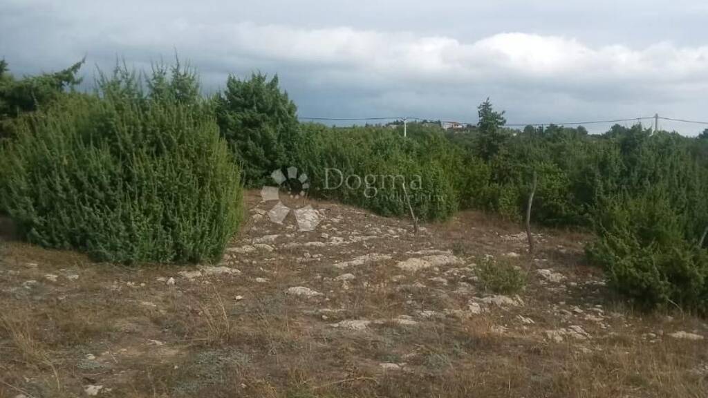 Land-/Forstwirtschaft zum Kauf 110.000 € Razanac 23248