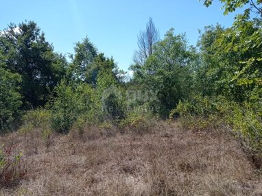 Land-/Forstwirtschaft zum Kauf 76.500 € Porec center 52440