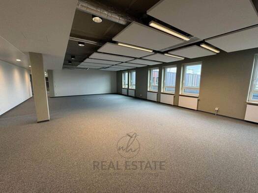 Bürofläche zur Miete - Erstbezug provisionsfrei 9,50 € 724 m² Bürofläche Veddel Hamburg 20539