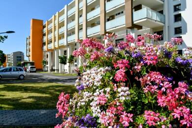 Wohnung zur Miete 425 € 2 Zimmer 49,5 m² 1. Geschoss Dresdner Straße 9 Weida Riesa 01587