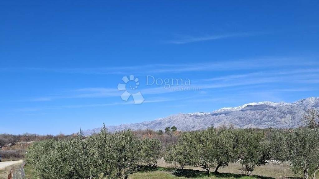 Land-/Forstwirtschaft zum Kauf 292.500 € Posedarje