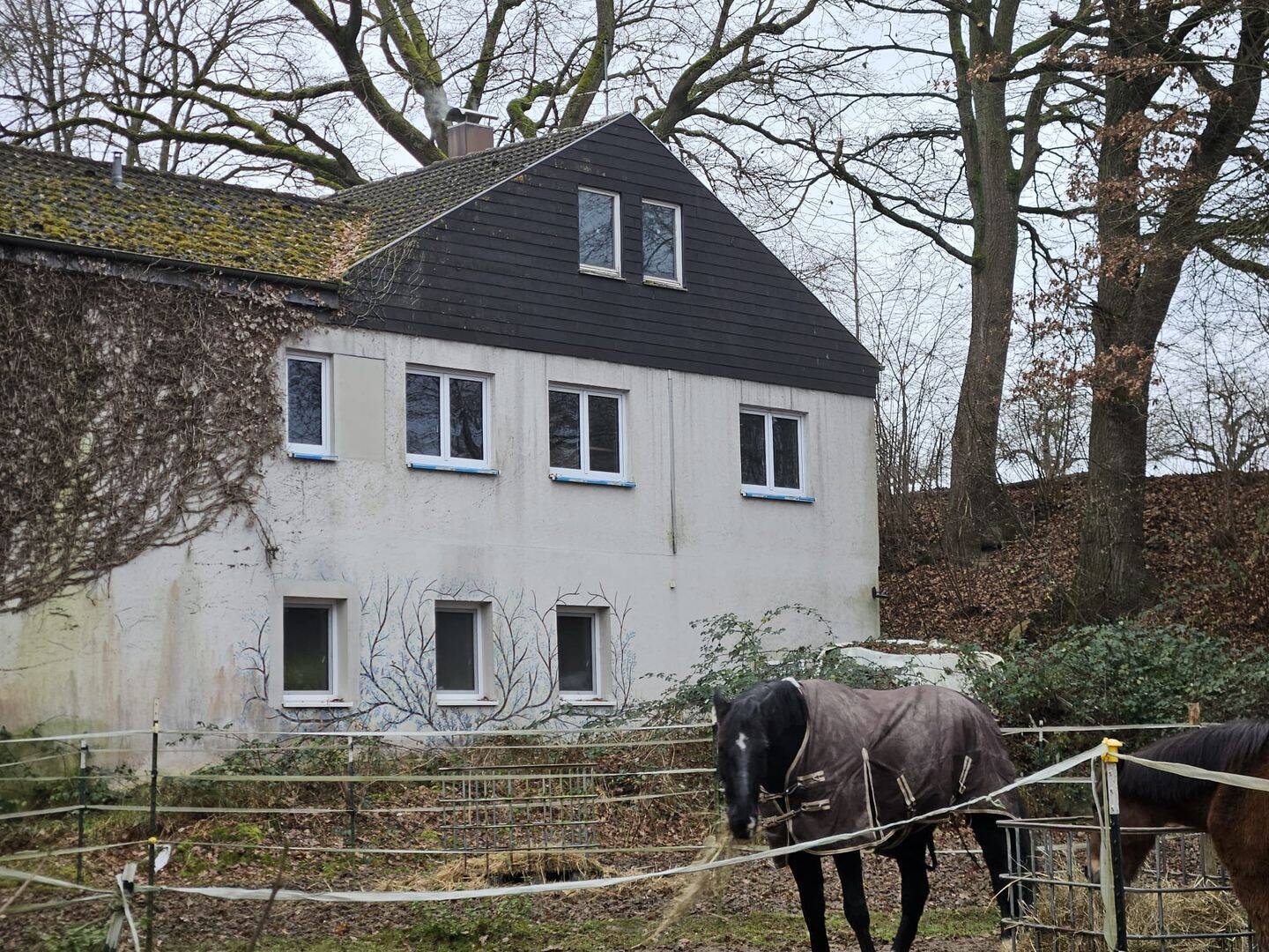 Reiterhof zum Kauf - Widok 5