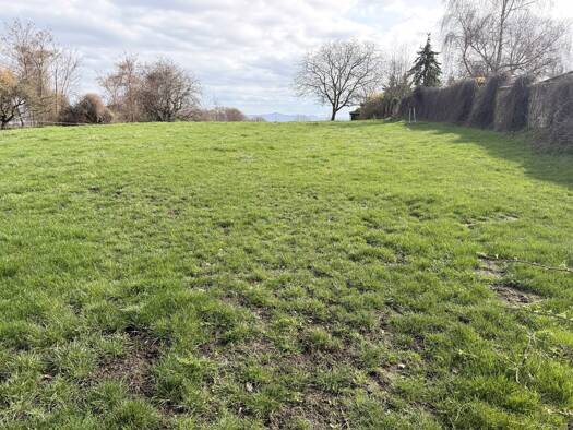 Landwirtschaftliche Fläche zum Kauf 118.000 € 11.842 m² 11.842 m² Grundstück Bornheim 53332