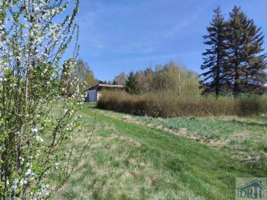 Einfamilienhaus zum Kauf 29.000 € 3 Zimmer 44,6 m² 2.550 m² Grundstück frei ab sofort Großschönau 02779