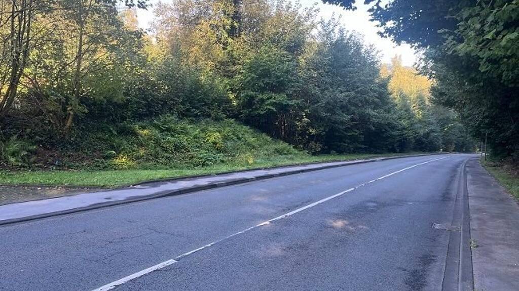 Grundstück zum Kauf 220.000 € 5.213 m² Grundstück Werdohl 58791