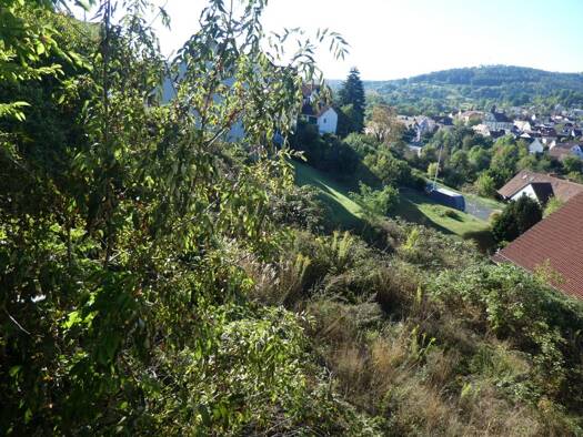 Grundstück zum Kauf 220.000 € 698 m² Grundstück Mensengesäß Mömbris 63776