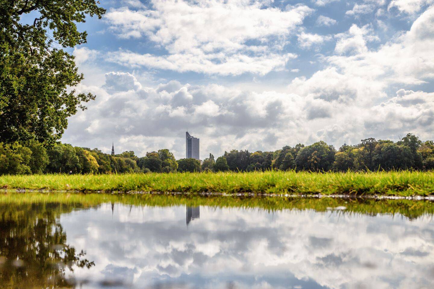 Property thumbnail 6