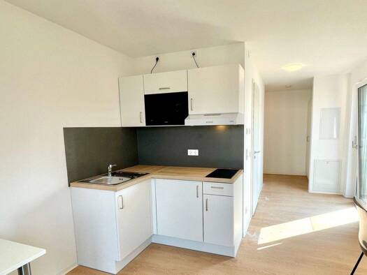 Wohnung zur Miete - Erstbezug 475 € 1 Zimmer 19,6 m² 2. Geschoss frei ab sofort Reindelstraße 15 Wöhrd Nürnberg 90402