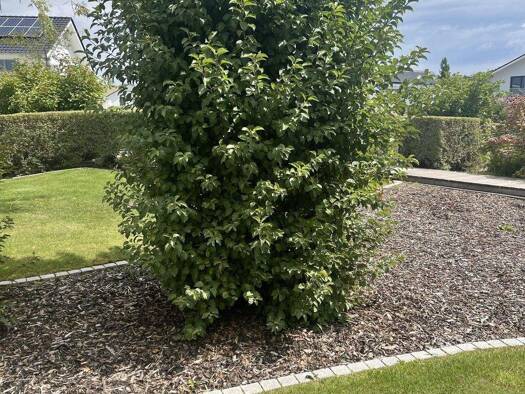 Grundstück zum Kauf provisionsfrei 489.000 € 699 m² Grundstück Lettenbach Diedorf 86420