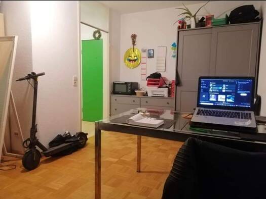 Wohnung zur Miete 601 € 1 Zimmer 29 m² 1 Geschosse frei ab sofort Neuburg Freiburg im Breisgau 79098