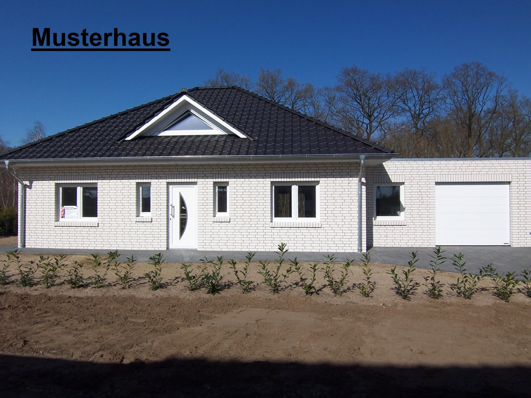 Bungalow zum Kauf 359.000 € 3 Zimmer 106,3 m²<br/>Wohnfläche Haselünne Haselünne 49740