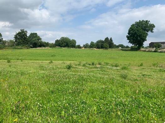 Einfamilienhaus zum Kauf - Erstbezug 42.000 € 5 Zimmer 130 m² 750 m² Grundstück Tegau 07907