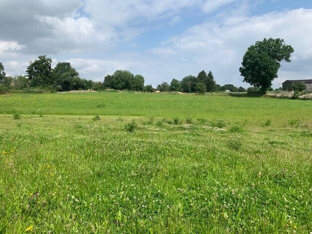 Grundstück zum Kauf - Erstbezug 42.000 € 750 m² Grundstück Tegau 07907