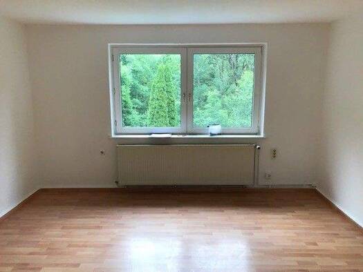 Wohnung zur Miete 300 € 3 Zimmer 52 m² EG frei ab sofort Breslauer Str.  10 Wolfshagen Langelsheim 38685