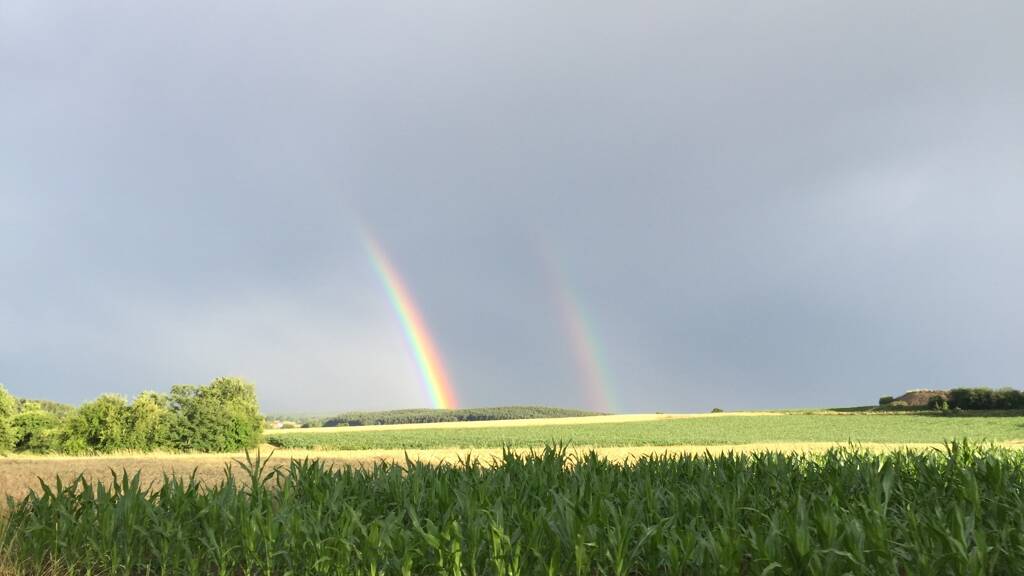 Grundstück zum Kauf provisionsfrei als Kapitalanlage geeignet 55.000 € 43.089 m² Grundstück Lori–Ludwig–Strasse Himmelsberg Sondershausen 99706