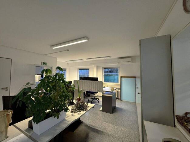 Bürofläche zur Miete provisionsfrei 2.115 € 215 m² Bürofläche Eisingen 97249