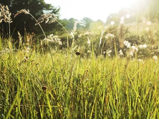 Bauernhof zum Kauf 1.290.000 € Moos in Passeier 39013