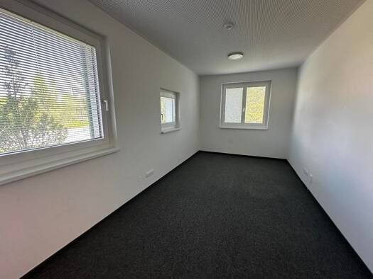 Bürofläche zur Miete - Erstbezug 421 € 1 Zimmer Mizzi-Günther-Weg 1 Wien 1210