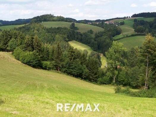 Forstwirtschaft zum Kauf 418.750 m² Grundstück Aigen 2860