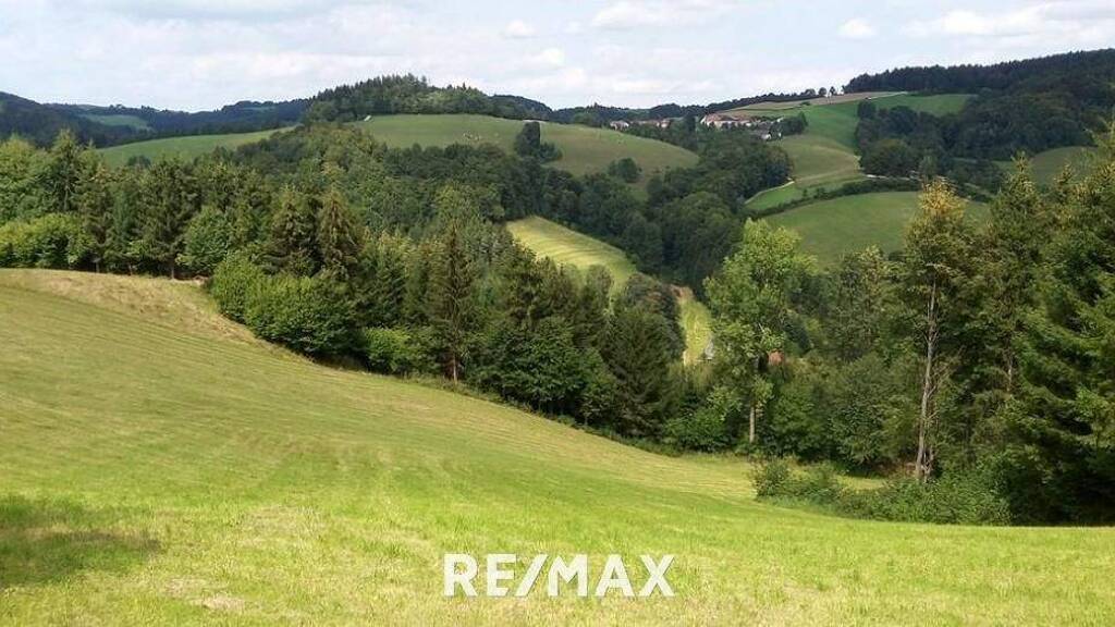 Forstwirtschaft zum Kauf 418.750 m² Grundstück Aigen 2860