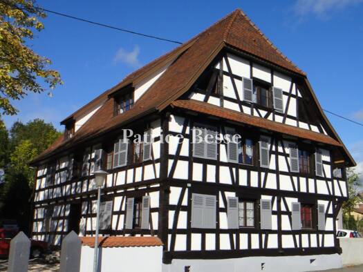 Haus zum Kauf 1.300.000 € 1.073 m² 1.907 m² Grundstück Briand Franklin Nord Mulhouse 68100